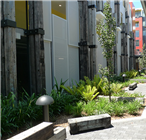 McEvoy Street
