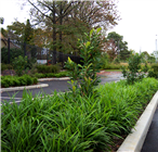 Moorebank