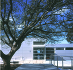 MLC